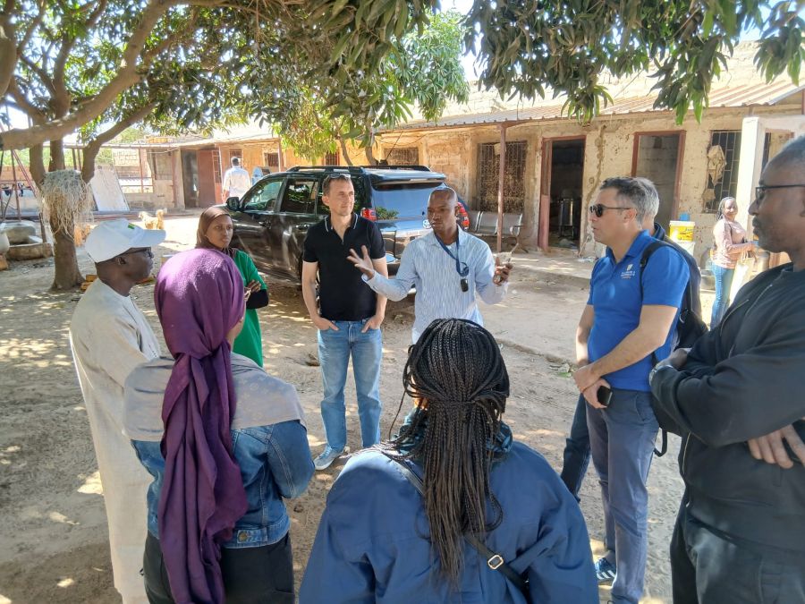 Council Engages Dairy, Poultry Sectors In Senegal To Build Demand For Raw Materials